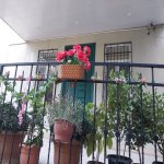 Kirayə (aylıq) 5 otaqlı Ofis, Nəriman Nərimanov metrosu, Nərimanov rayonu 5