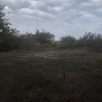 Satılır Torpaq, Novxanı, Abşeron rayonu 9