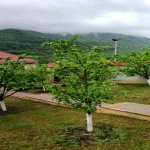 Kirayə (günlük) 4 otaqlı Bağ evi Quba 11