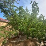 Satılır Torpaq, Mərdəkan, Xəzər rayonu 9