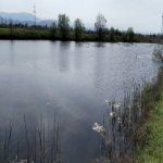 Продажа Участок Хачмаз 87