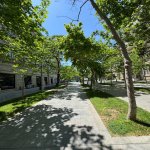 Аренда 4 комнат Вторичка, м. Сахил метро, Сябаиль район 23