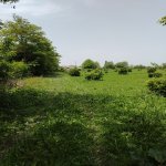 Satılır Torpaq Oğuz 8