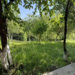 Посуточно 5 комнат Дома/Виллы Исмаиллы 9