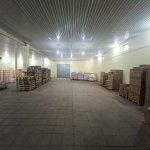 Kirayə (aylıq) Obyekt, Hökməli, Abşeron rayonu 11