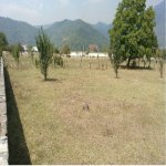 Satılır Torpaq Qəbələ 4