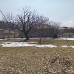 Satılır Torpaq Qəbələ 1