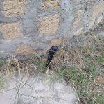 Satılır Torpaq Sumqayıt 12