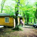 Kirayə (günlük) 5 otaqlı Bağ evi Quba 16