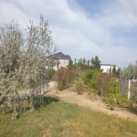 Satılır Torpaq, Nardaran qəs., Sabunçu rayonu 3