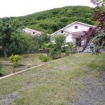 Kirayə (günlük) 4 otaqlı Həyət evi/villa Qax 1