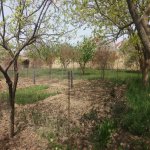 Satılır 4 otaqlı Həyət evi/villa, Saray, Abşeron rayonu 40