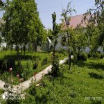 Kirayə (günlük) 4 otaqlı Həyət evi/villa Qəbələ 10