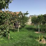 Satılır 3 otaqlı Həyət evi/villa, Mərdəkan, Xəzər rayonu 8