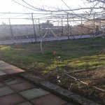 Satılır 7 otaqlı Bağ evi, Sabunçu rayonu 16