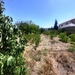Kirayə (aylıq) 4 otaqlı Bağ evi, Goradil, Abşeron rayonu 28