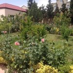 Kirayə (aylıq) 7 otaqlı Həyət evi/villa, Badamdar qəs., Səbail rayonu 16