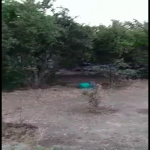 Satılır 6 otaqlı Həyət evi/villa, Azadlıq metrosu, Binəqədi qəs., Binəqədi rayonu 14