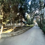 Продажа 3 комнатная Вторичка, м. Мемар Аджеми метро, 3-ий микрорайон, Насими район 17