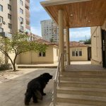Satılır 5 otaqlı Həyət evi/villa, Elmlər akademiyası metrosu, Yasamal rayonu 3