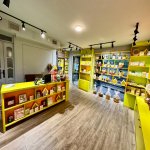 Kirayə (aylıq) Obyekt, Elmlər akademiyası metrosu, Yasamal rayonu 8