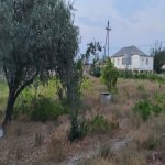 Satılır Torpaq, Novxanı, Abşeron rayonu 5