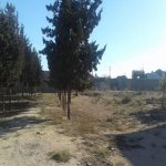 Satılır Torpaq, Şüvəlan, Xəzər rayonu 4