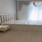 Kirayə (aylıq) 2 otaqlı Yeni Tikili, Gənclik metrosu, Yasamal rayonu 17