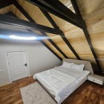 Satılır 4 otaqlı Həyət evi/villa Qəbələ 3