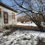 Satılır 2 otaqlı Bağ evi Qəbələ 1