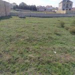 Satılır Torpaq, Saray, Abşeron rayonu 1