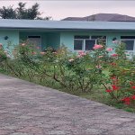 Kirayə (günlük) 2 otaqlı Həyət evi/villa Quba 2