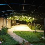 Kirayə (günlük) 2 otaqlı Həyət evi/villa Qax 2