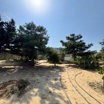 Продажа Участок, пос. Билгях, Сабунчу район 6