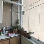 Satılır 3 otaqlı Yeni Tikili, Azadlıq metrosu, 8-ci mikrorayon, Ayna Sultanova heykəli, Binəqədi rayonu 17