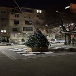 Kirayə (aylıq) 3 otaqlı Köhnə Tikili, Elmlər akademiyası metrosu, Yasamal qəs., Yasamal rayonu 14