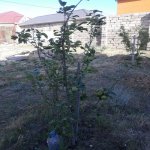 Satılır 6 otaqlı Bağ evi, Hövsan qəs., Suraxanı rayonu 3