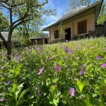 Посуточно 3 комнатная Дома/Виллы Гябяля 5