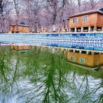 Kirayə (günlük) 5 otaqlı Bağ evi Quba 13