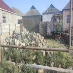 Satılır Torpaq, Avtovağzal metrosu, Binəqədi qəs., Binəqədi rayonu 4