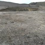 Продажа Участок, Новханы, Абшерон район 7