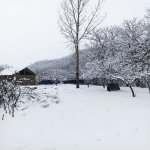 Kirayə (günlük) 3 otaqlı Həyət evi/villa Qəbələ 22