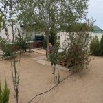Посуточно 3 комнат Дача, пос. Нардаран, Sea Breeze, Сабунчу район 9