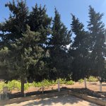 Satılır 3 otaqlı Həyət evi/villa, Bilgəh qəs., Sabunçu rayonu 15