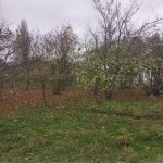 Satılır 4 otaqlı Bağ evi Xaçmaz 3
