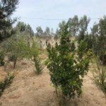 Satılır 4 otaqlı Həyət evi/villa, Şüvəlan, Xəzər rayonu 18