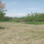 Satılır Torpaq Qəbələ 2