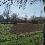 Satılır Torpaq İsmayıllı 3