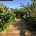 Satılır 7 otaqlı Bağ evi, Xəzər rayonu 27