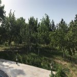 Kirayə (aylıq) 5 otaqlı Bağ evi, Bilgəh qəs., Sabunçu rayonu 10